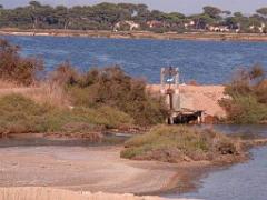 183 D18 PRESQU ILE DE GIENS 1_000037